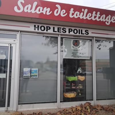 Poil chien
